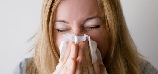 Reducing Cat Allergens