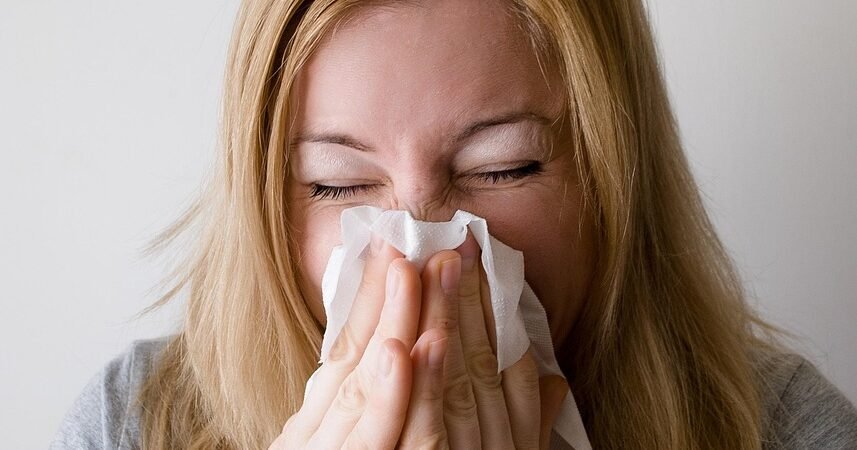 Reducing Cat Allergens